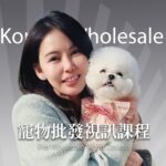 南大門寵物用品批發 韓國寵物用品品牌代購教學 抓住韓國寵物市場的賺錢機會