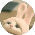兔寶寶ᥫᩣ